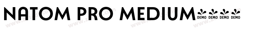 Natom Pro Medium字体转换